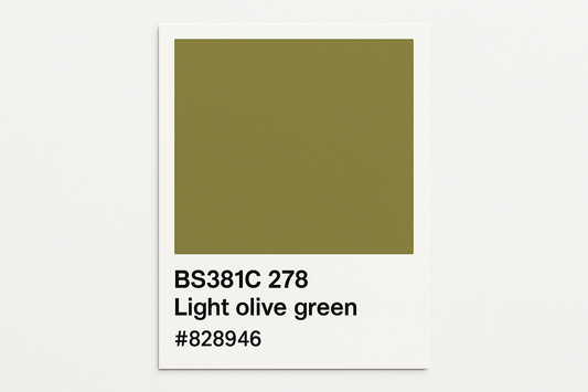 Create a colour Swatch card using the correct Hex code BS381C 278 Light olive green