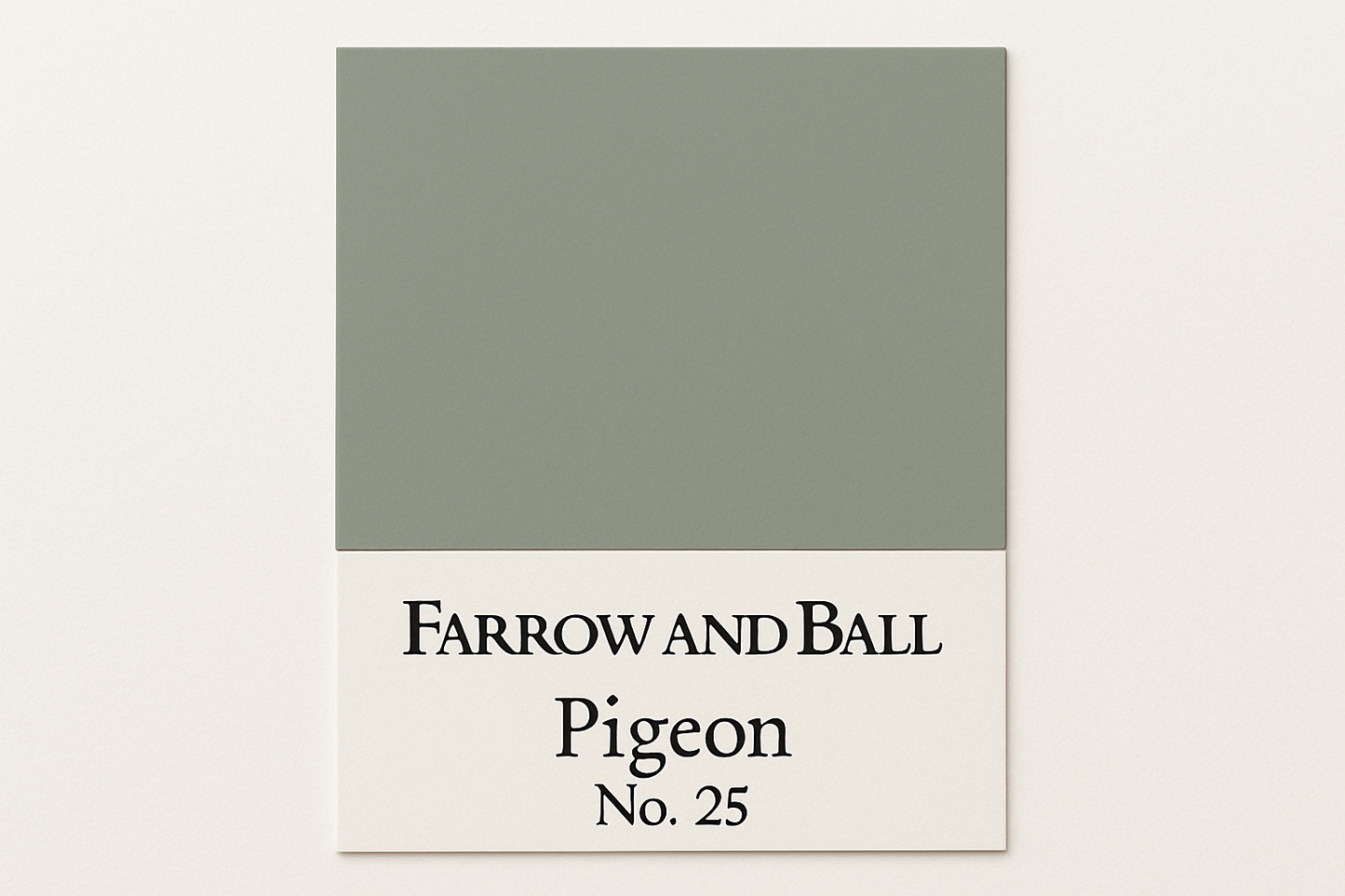 Create a Colour Swatch Image for hex code #9FA195 and Label as Farrow and Ball Pigeon No. 25