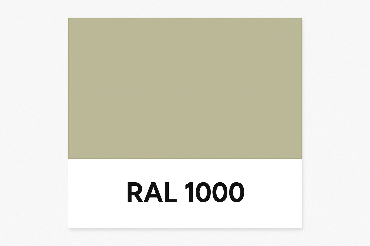 Show an example of RAL 1000