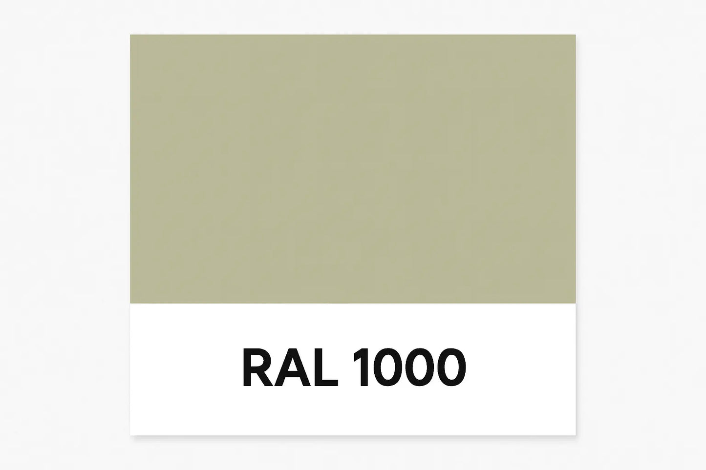 Show an example of RAL 1000