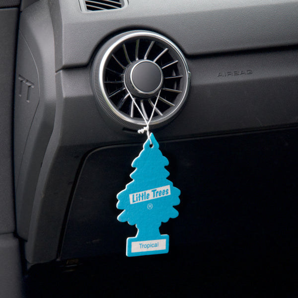 LITTLE TREES® Tropical