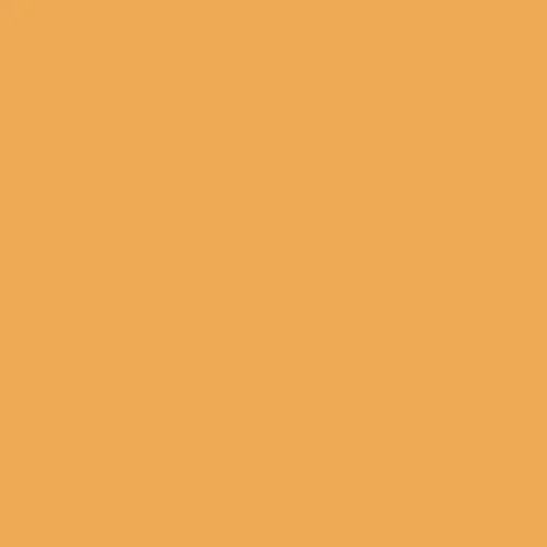 RAL 1034 Pastel yellow - Available in 400Ml Custom Filled Aerosol - Aerosols "R" Us