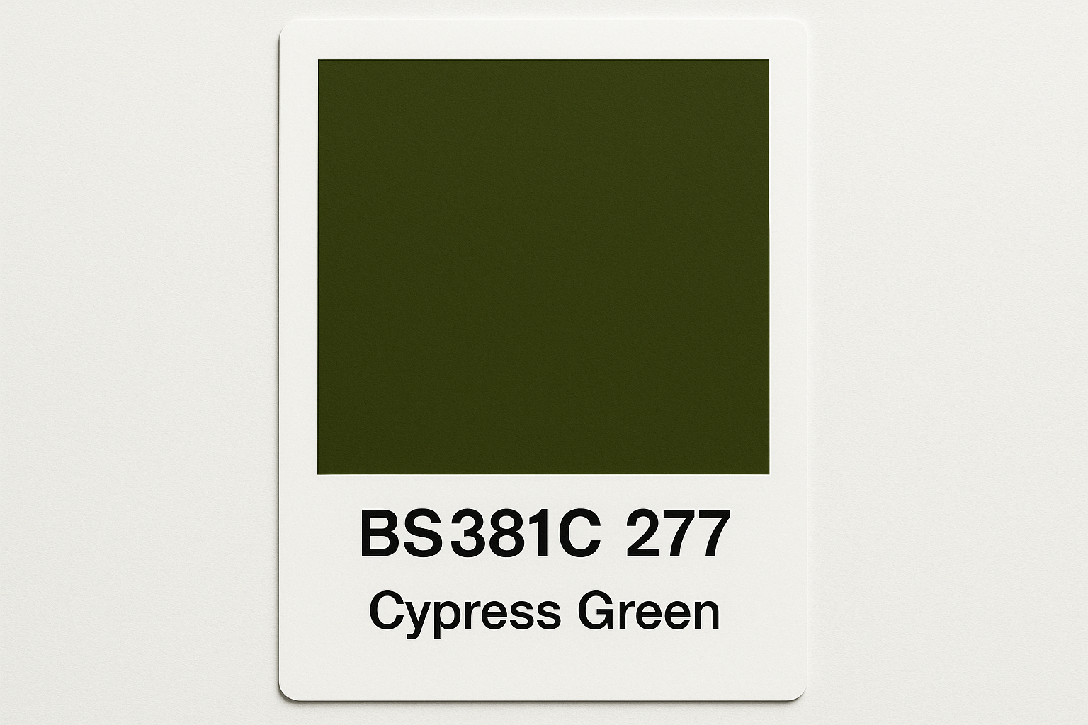 Create a Colour Swatch card using the correct hex code BS381C 277 Cypress green 