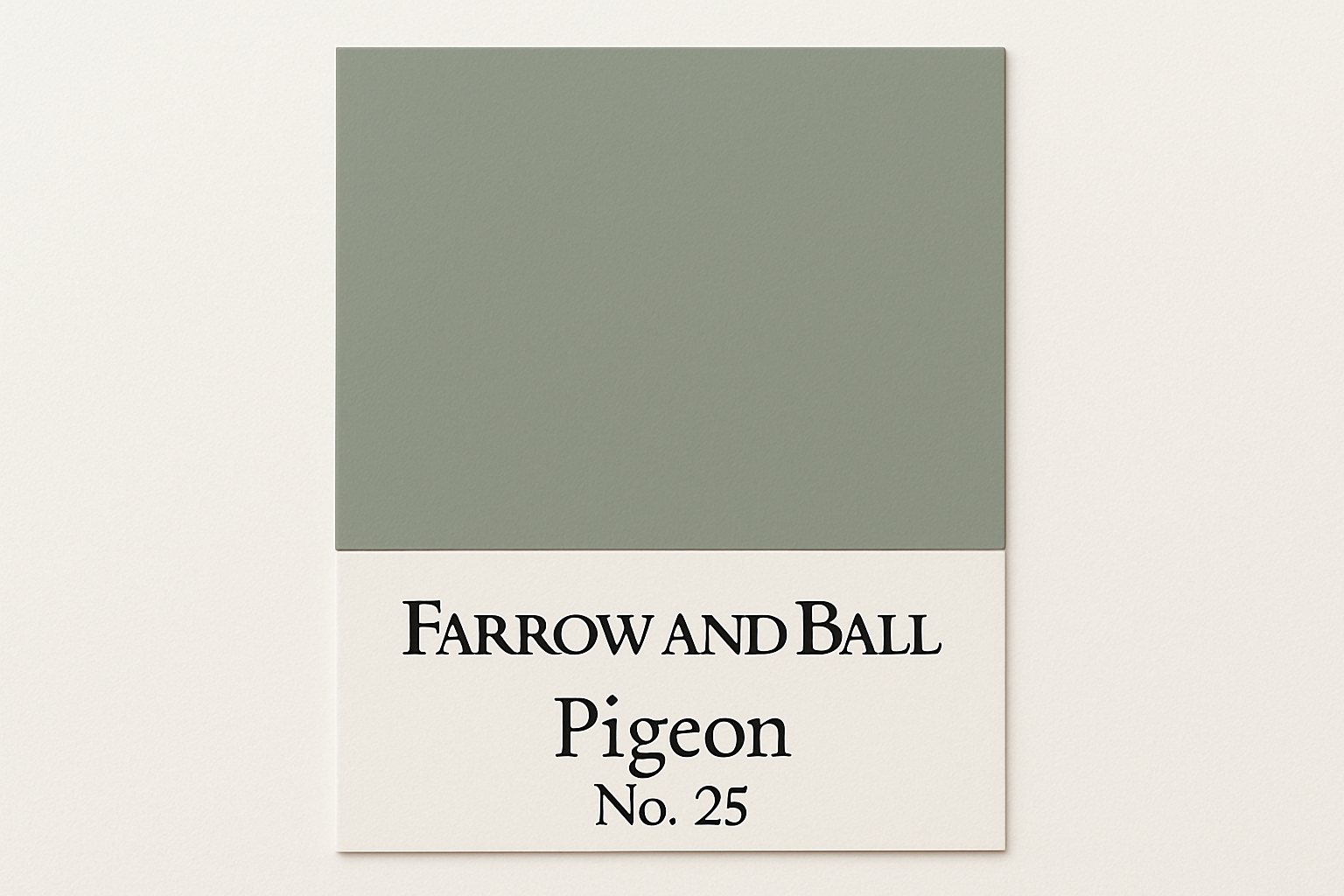 Create a Colour Swatch Image for hex code #9FA195 and Label as Farrow and Ball Pigeon No. 25