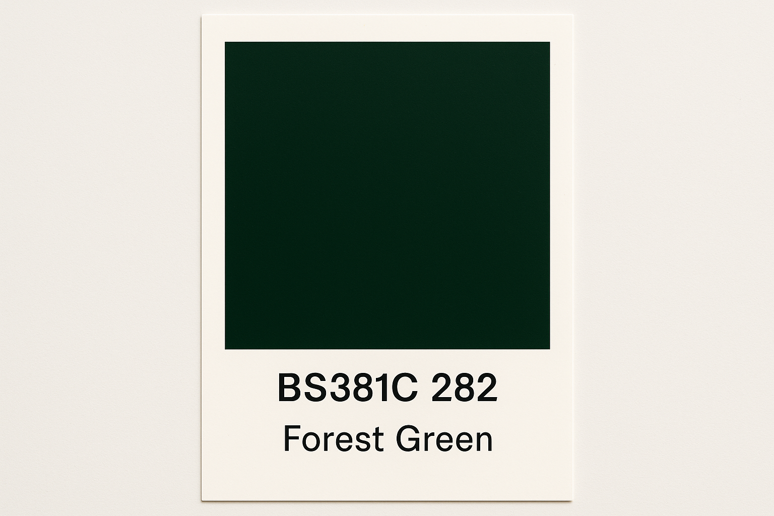 Create Colour Swatch Card BS381C 282 Forest green