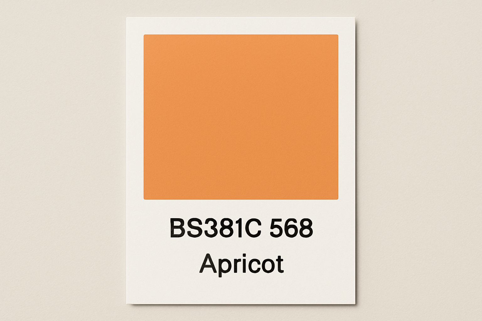 Create Colour Swatch Card BS381C 568  Apricot 