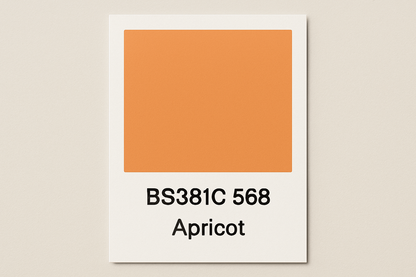 Create Colour Swatch Card BS381C 568  Apricot 