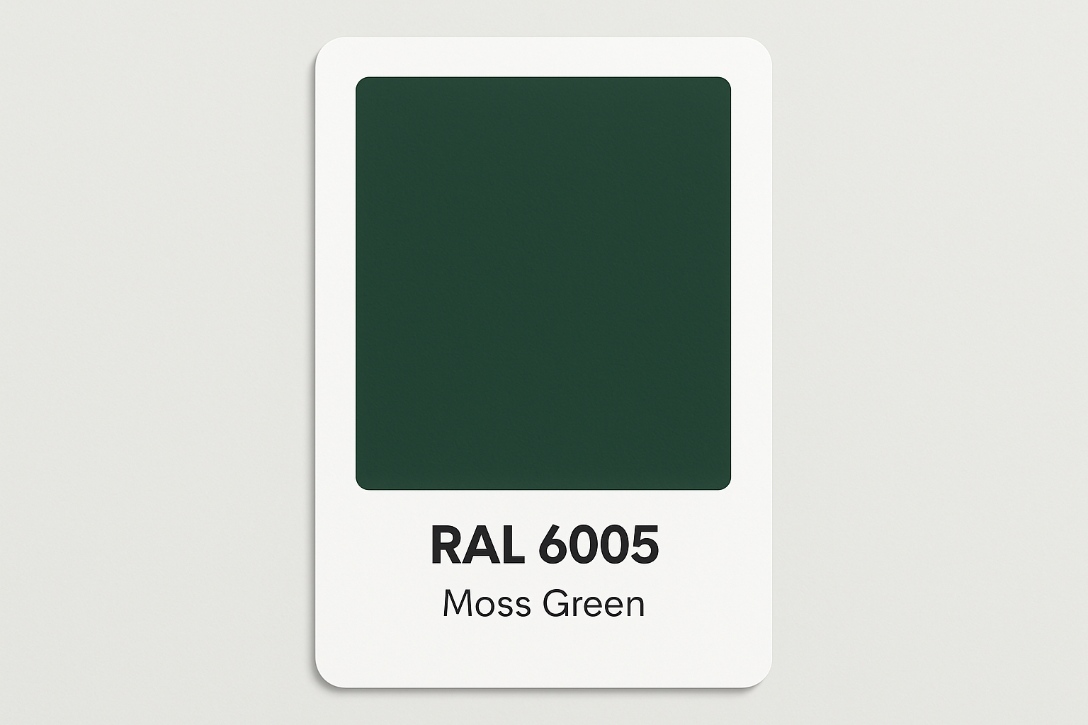 Create Swatch Colour Card RAL 6005 Moss Green
